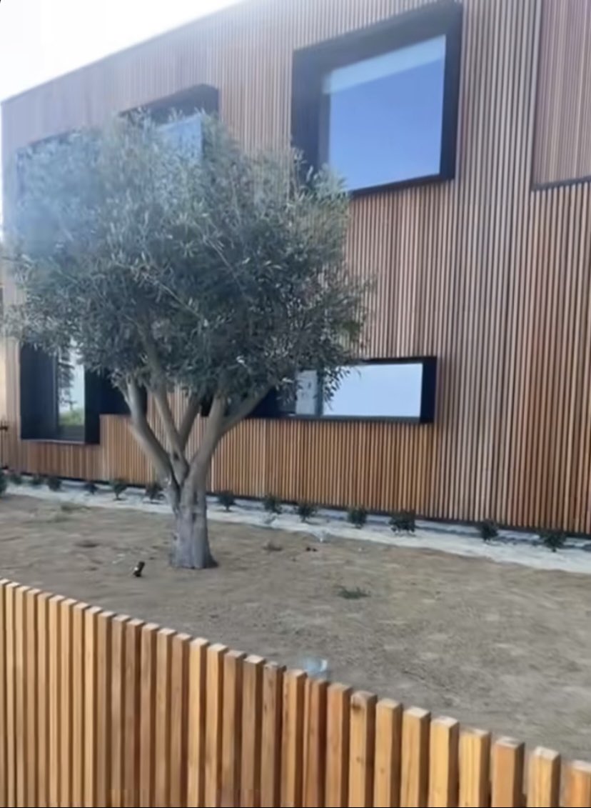 OrnamentalOlive's tweet photo. #OrnamentalOliveTreeGarden
Chandlers Hill, South Australia
☎️ Mark on 0411494450 Advanced / Mature / Established Olive Trees
#advancedtrees #maturetrees #establishedtrees #olives #olivetree #olivetrees #olivegarden #gardendesign #Adelaide #matureolivetree https://t.co/lTEoX9pqFT