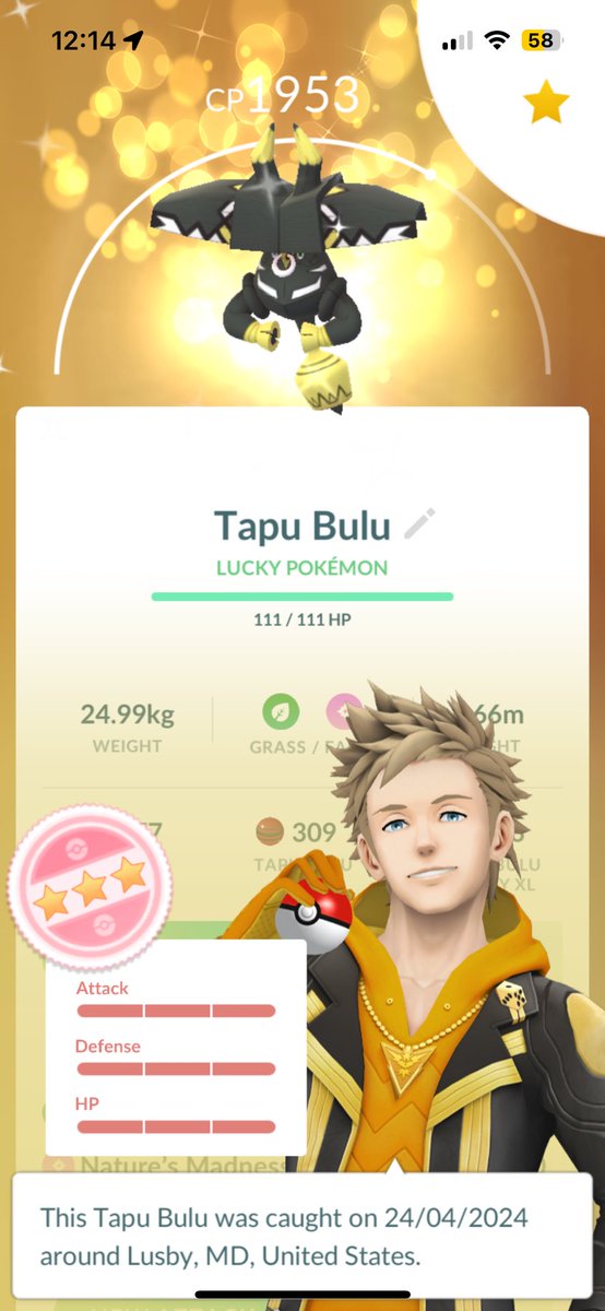 Shundo Tapu Bulu ‼️✨