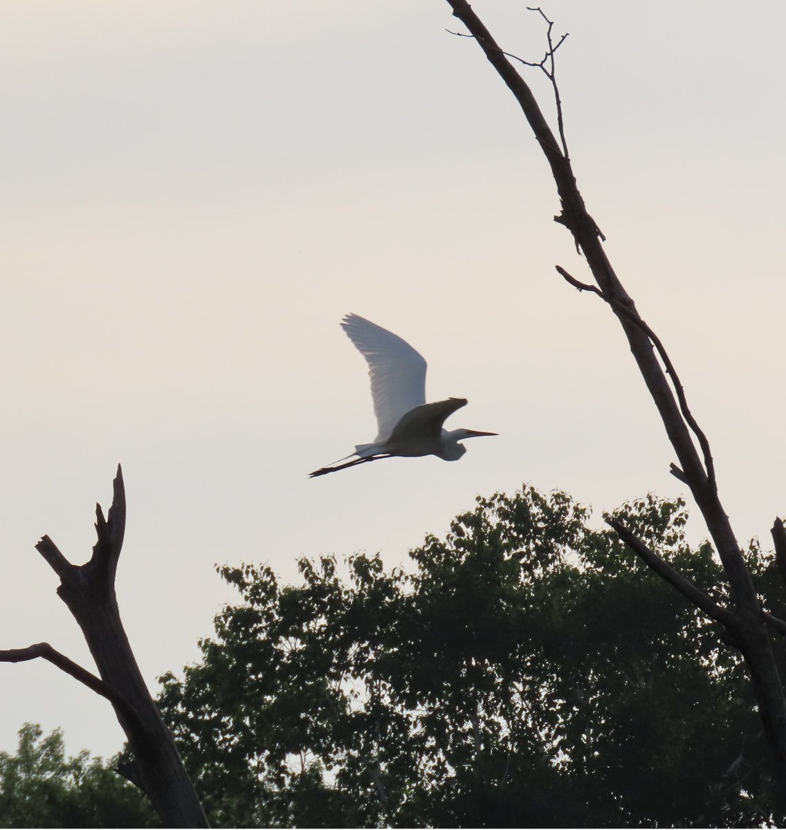 'Some people feel the rain, others just get wet.' ~ #BobMarley #thinkingoutloud #quickquotes #MondayMoments #MondayMotivation #MemorialDay #Rain