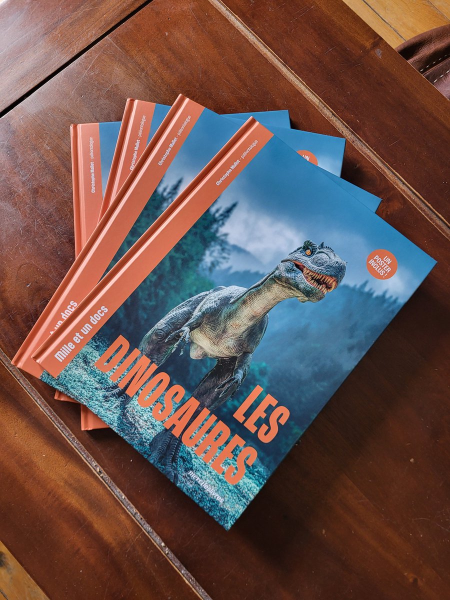 Christophe Mallet tweet media