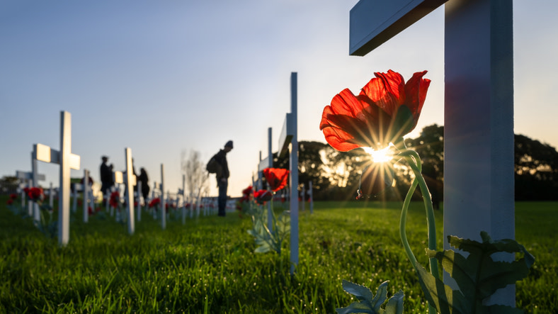 Beekley Medical will be closed today so that we may remember those who sacrificed so that we could live in freedom. This Memorial Day, we're thankful for those who gave their lives while serving our country.