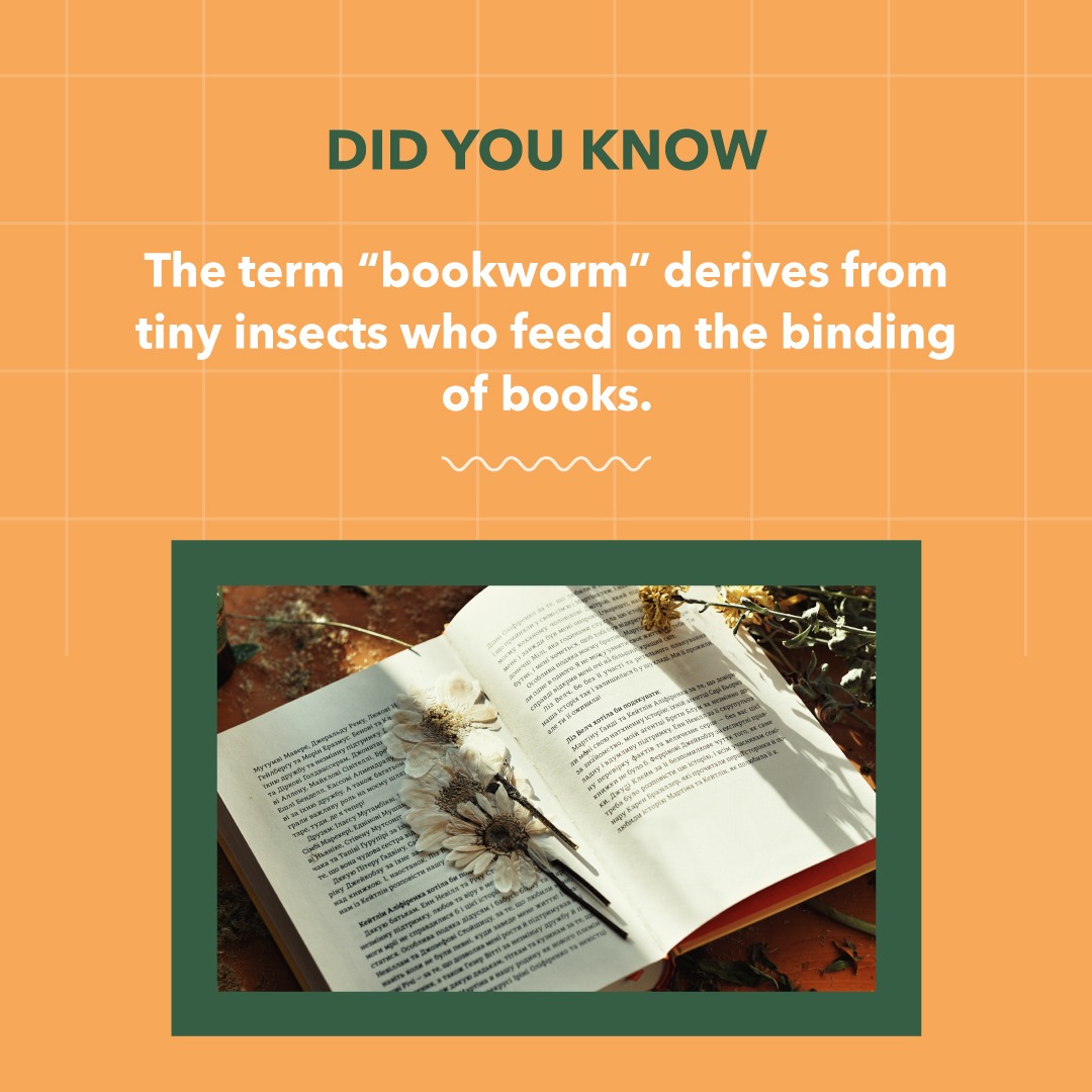 They better keep clear from my books.

#fact #factoftheday #books #booksfacts #didyouknowfacts