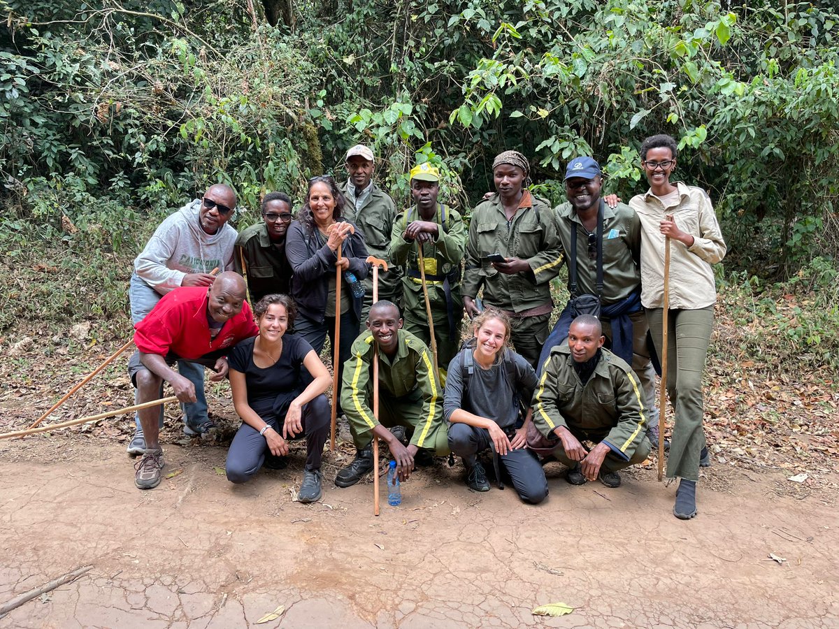 MucoBangkok's tweet photo. The Bururi Forest Natural Reserve,offers a unique blend of lush greenery,diverse wildlife and rich cultural heritage.
#visitburundi 
#bururiforest
#chimpanzetrekking 
#botanist https://t.co/ABdPK8FTaz