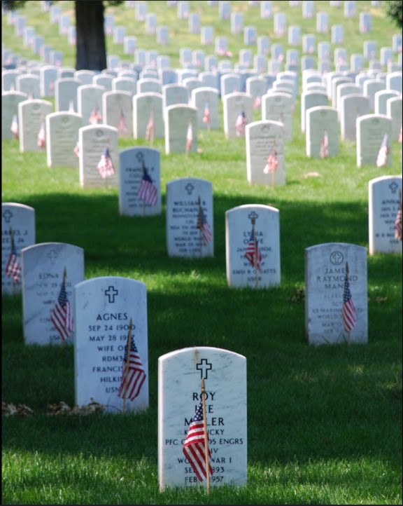 Have a great #MemorialDay, but don’t forget the men and women who paid the ultimate price. If you know someone thank them for there service today Listen to #thisweekinconspiracy #podcast
