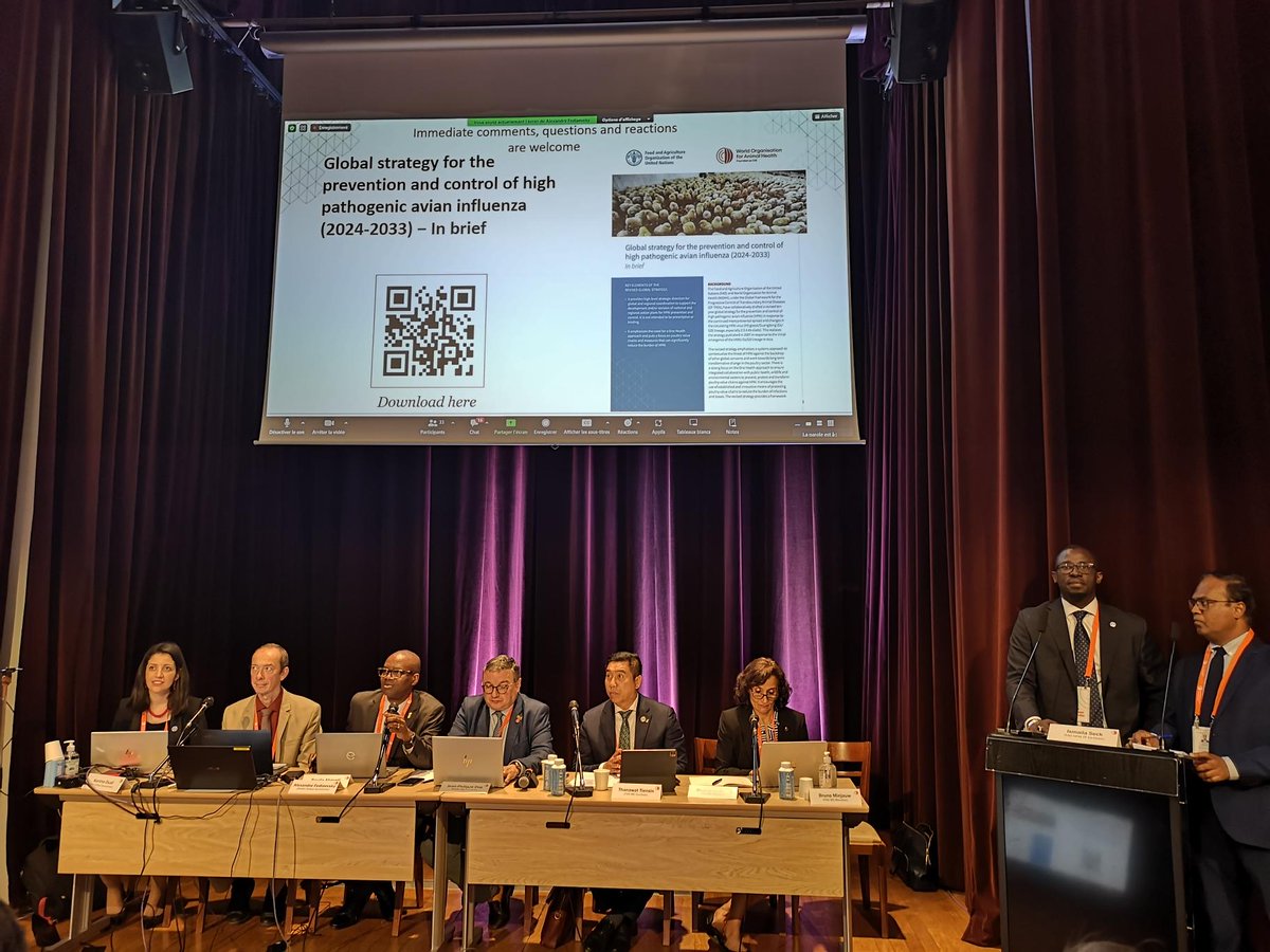 🔴 Live from @WOAH 91st General Session The Global Framework for the Progressive Control of Transboundary Animal Diseases (#GFTADs) launches a revised ten-year strategy for the prevention and control of high pathogenic #avianinfluenza. 👉 Learn more: bit.ly/3WYsUES