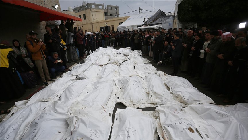 جاسم الشمالي tweet media