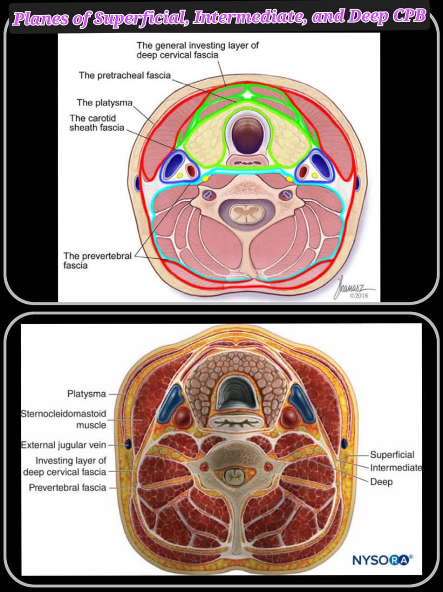Dr.Kartik Sonawane tweet media