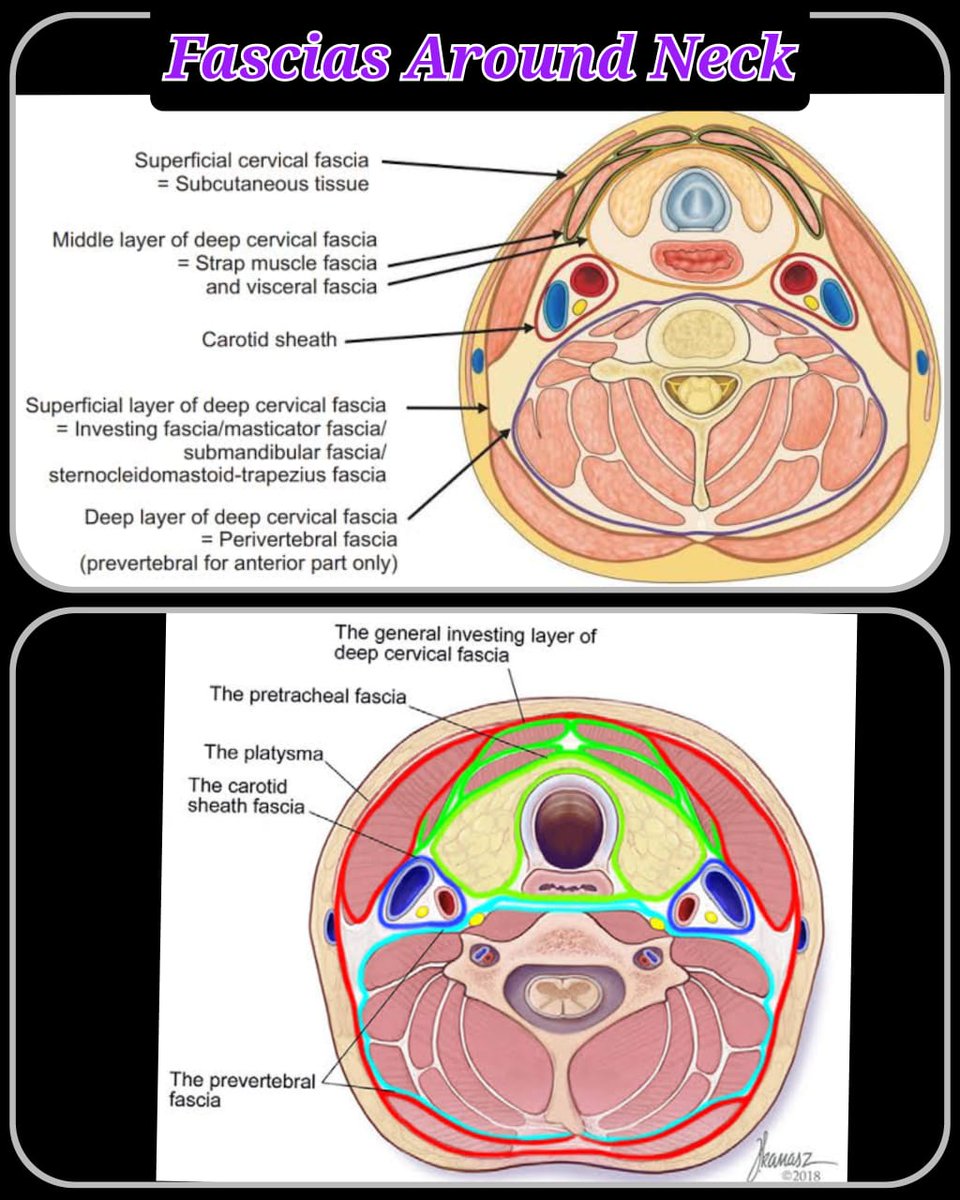 Dr.Kartik Sonawane tweet media