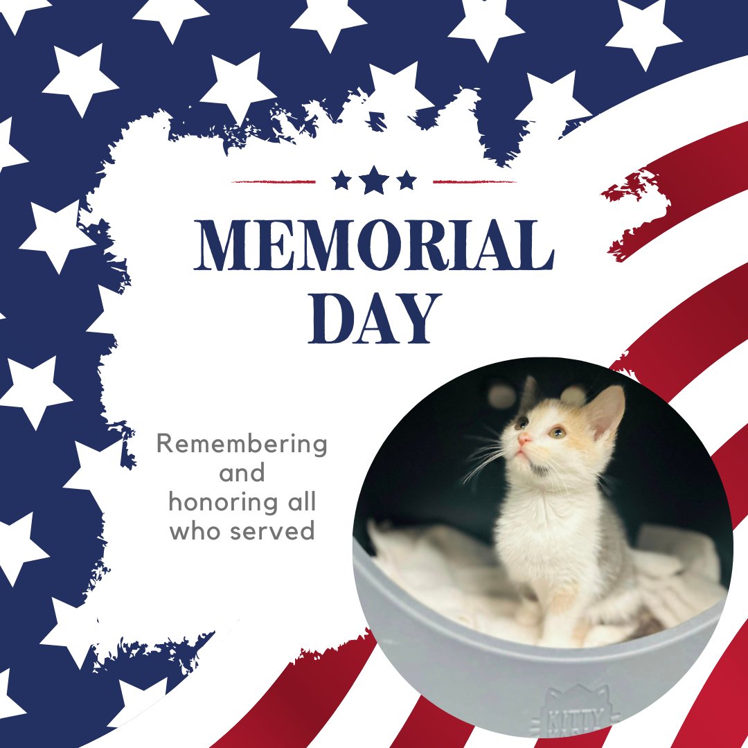 Humane Society HBG tweet media