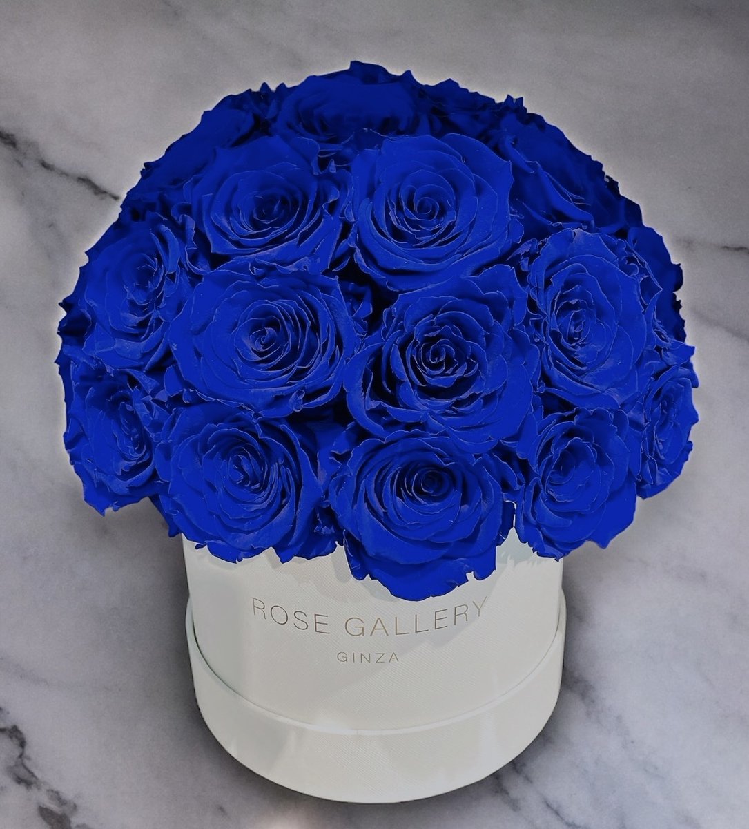 ROSE GALLERY ローズギャラリー バラ ブルーローズ ブルー ROSE GALLERY ローズギャラリー バラ ブルーローズ ブルー ROSE