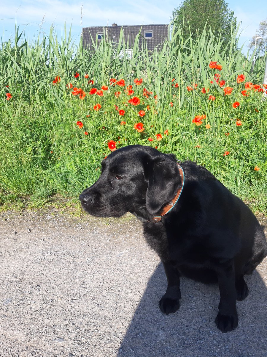 Ich bin heute nicht gut drauf hab Bauchweh und bin müde. Ich hab schon was gegen Bauchweh bekommen, aber das macht noch mehr müde .. mäh 😒😒