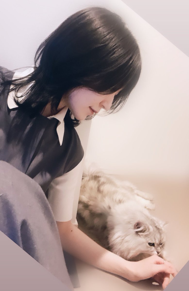 _maeshima_ami's tweet photo. 𓏲𓎨 https://t.co/YgOxVtqORP