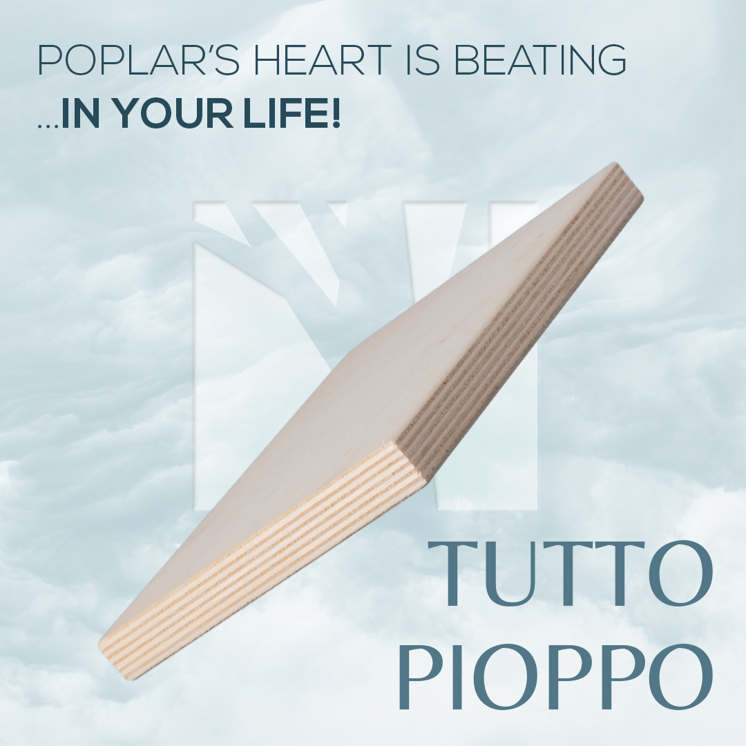 panguaneta's tweet photo. Poplar's heart is beating...in your life!
In our poplar plywood we put our knowledge, our passion, our history. In our poplar plywood we put our idea of the future. 
All our heart for a more sustainable everyday life.
#PanguanetaPlywood https://t.co/Lh9a8cVbAo