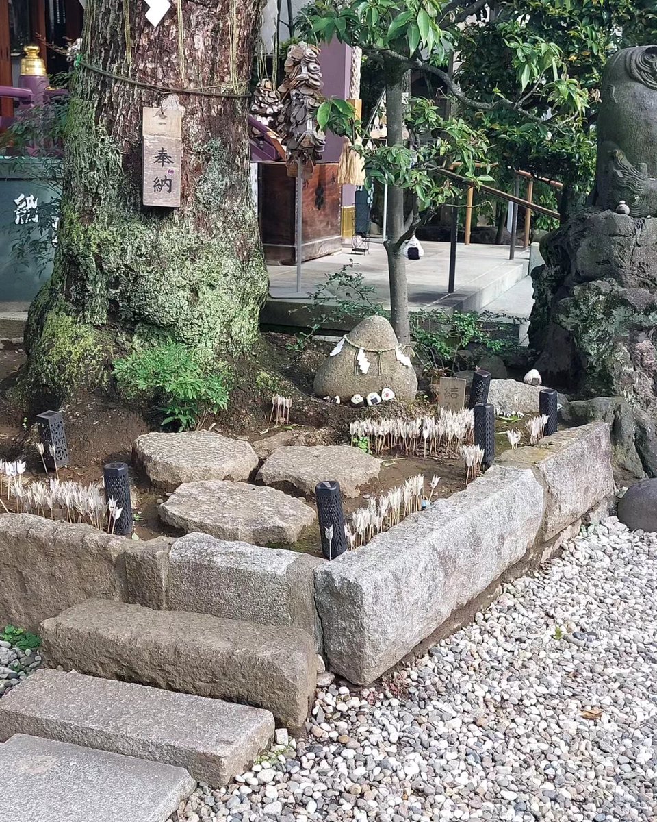 Ich war dann noch im 'Onigiri-Schrein' 🤭
Überall Onigiri soweit das Auge reicht 
#japan #japanreise #japantravel #japantrip #nihon #japan2024 #japanreise2024 #travel #traveling #tokio #tokyo #tokyo2024 #tokio2024 #tokyotravel #mai2024 #TakagiSchrein #hikifunetakagi #Onigiri