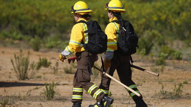 Brigadista imputado por megaincendio cobró 420 mil en horas extras en febrero #CooperativaContigo tinyurl.com/23qewnuo