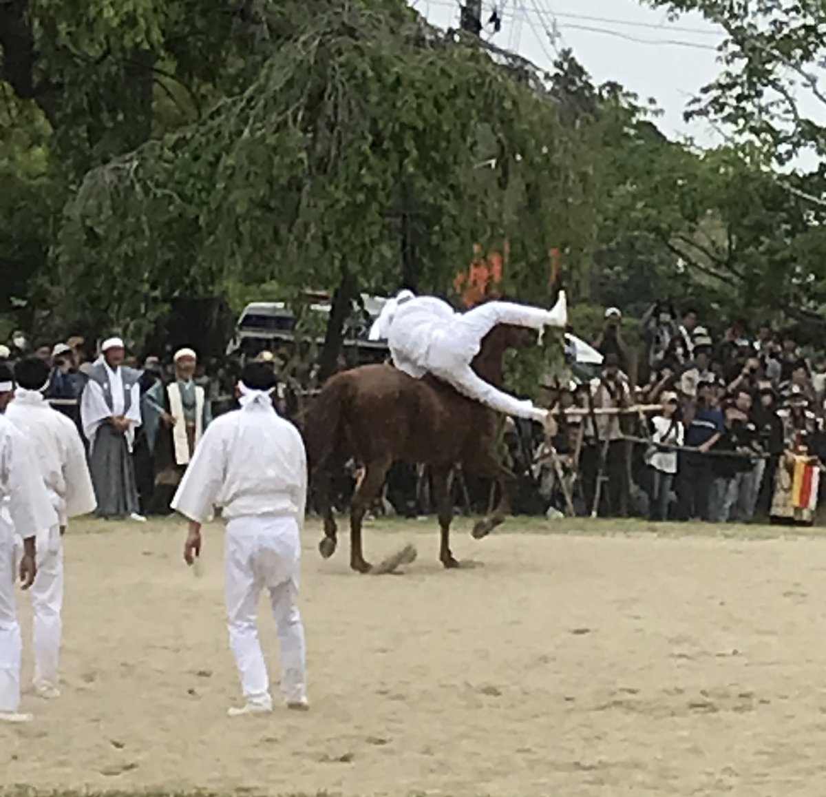 昨日、一昨日と福島県で🐴を沢山見てきました！ずーーーーっと前から行きたいと思ってた野馬追、念願かなってめちゃくちゃ幸せです😭