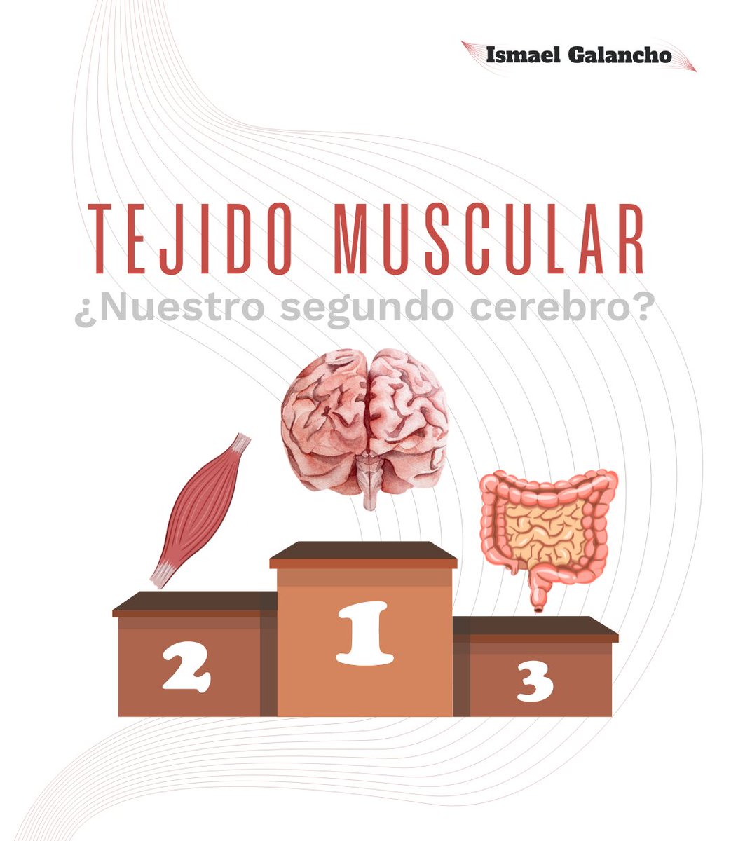 Cada vez más, sabemos de la importancia de la salud intestinal y microbiota sobre la salud general.