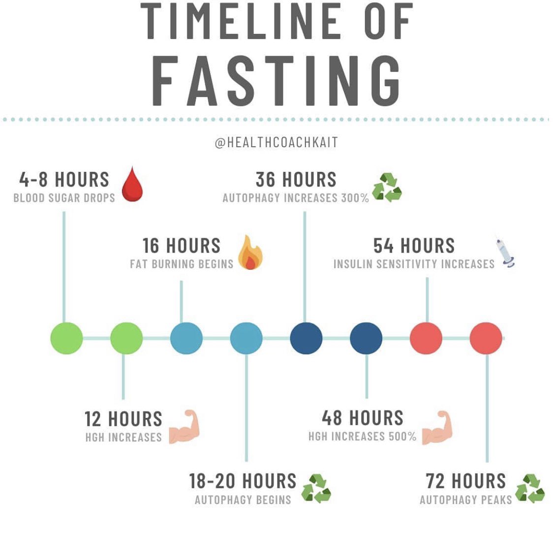 Fasting timeline and its multitude of benefits.
