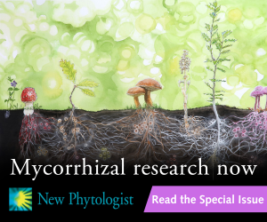 Mycorrhizal research now: from the micro- to the macro-scale Read the new Special Issue 📚 ow.ly/v3yJ50RVKLJ Edited by Francis Martin, Maarja Öpik and Ian Dickie