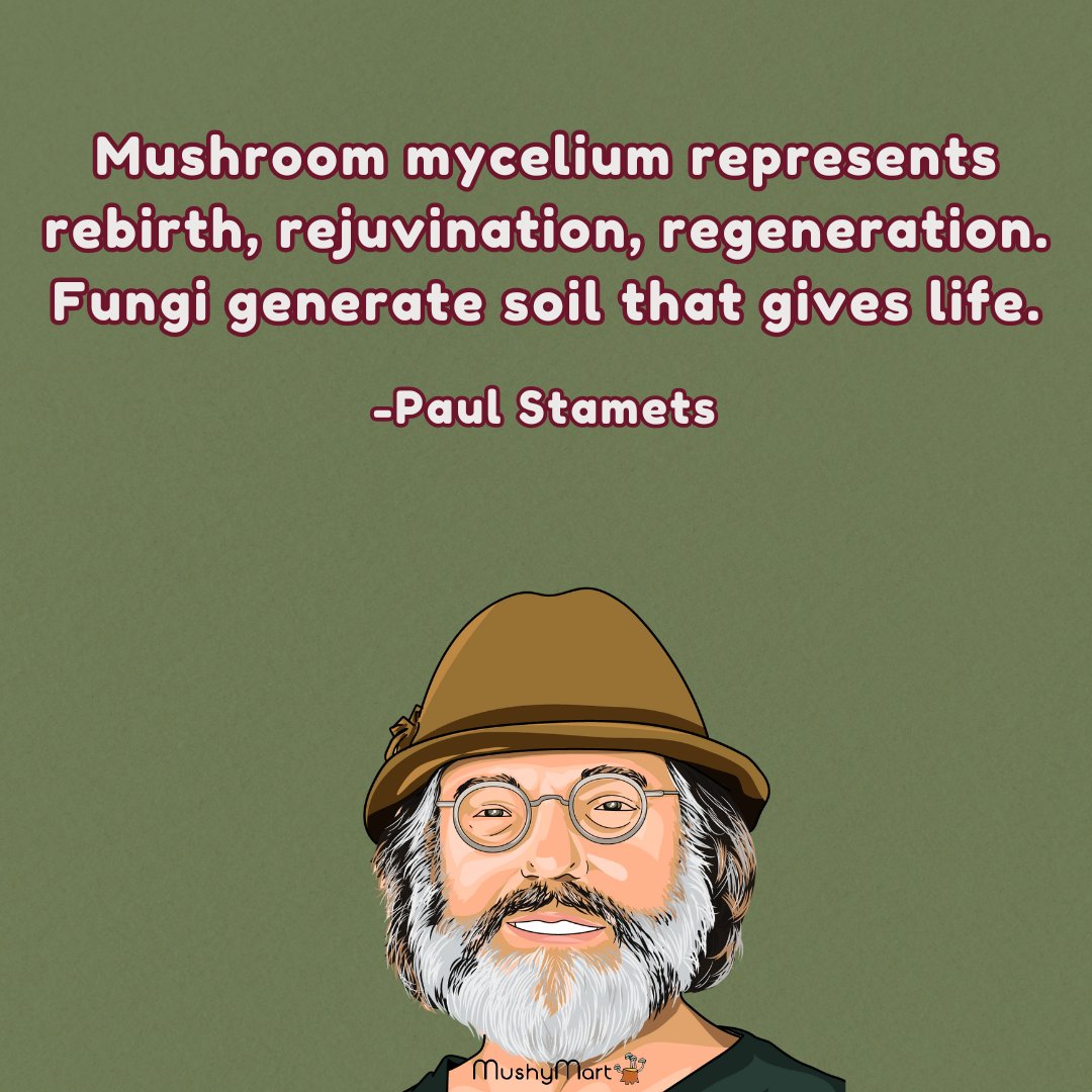 Mushroom mycelium represents rebirth, rejuvination, regeneration. Fungi generate soil that gives life. LIKE IF YOU AGREE! #mushroom #fungi #paulstamets