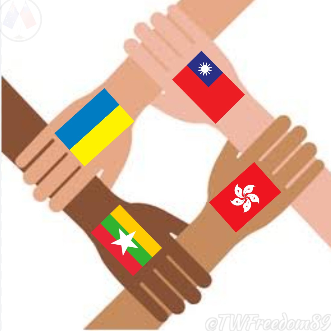 Taiwan Freedom - 台灣自由 tweet media