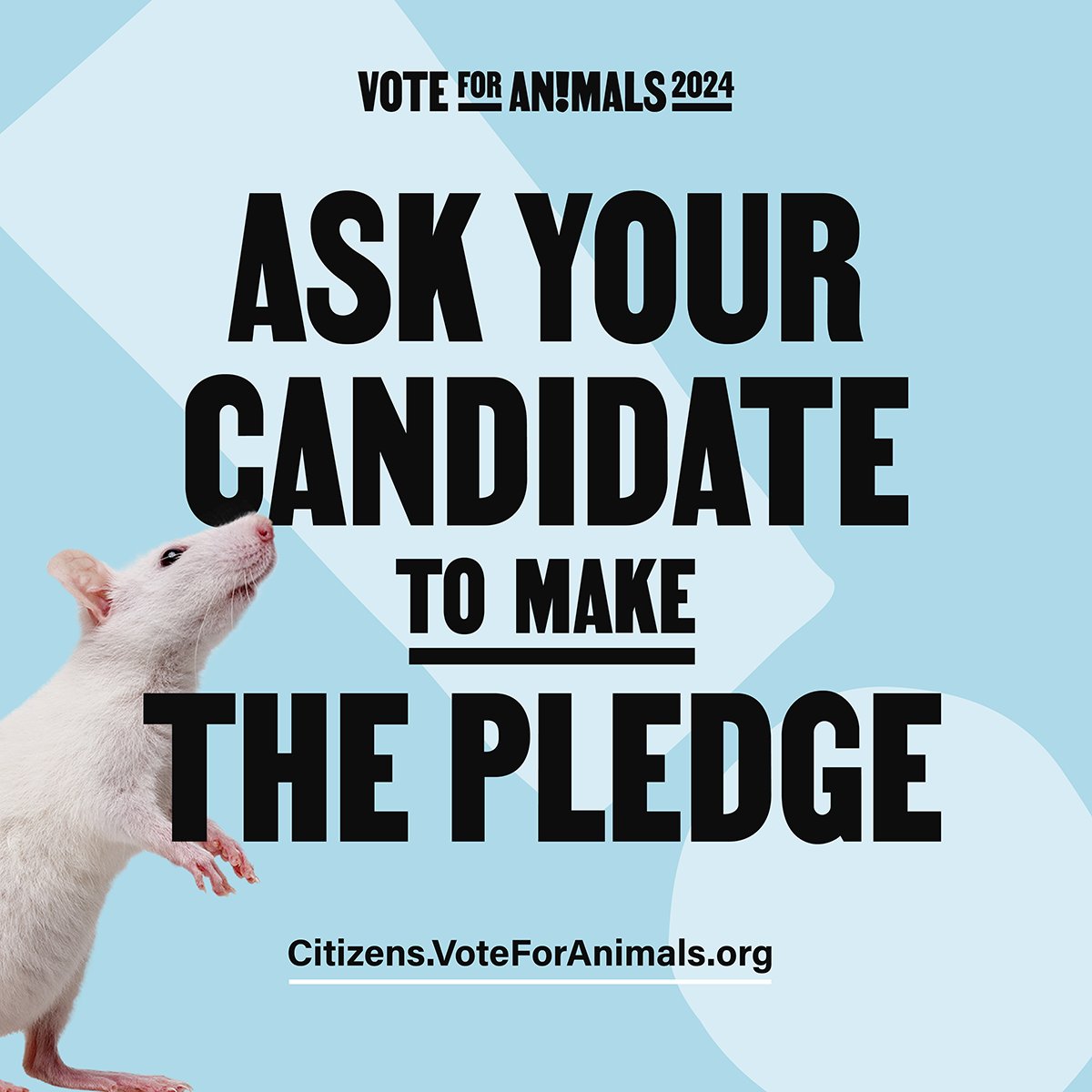 The faith of millions of animals depends on the upcoming #EUelections2024

If we want #animalwelfare to be considered a priority in the next term, we need more candidates to commit!

 Ask candidates who have not signed the #VoteforAnimals pledge to do so:

citizens.voteforanimals.org