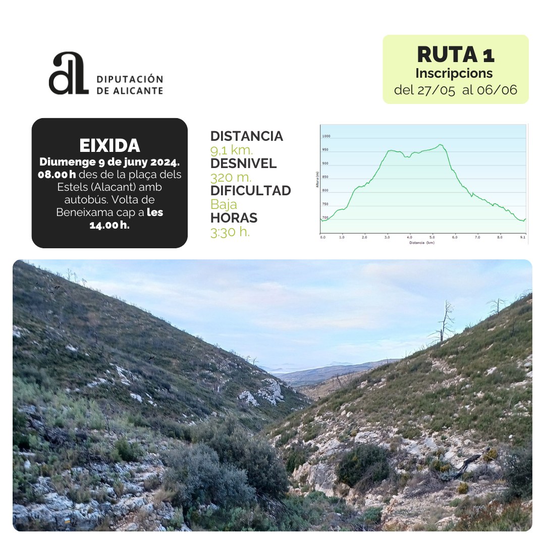 dipuAlicante's tweet photo. Vuelve el Programa de Senderismo de @dipuAlicante que organizamos junto a @femecv 👣
Arrancamos el domingo 9 de junio con una ruta de 9,2 kilómetros por el entorno natural de #Beneixama 🌳
Reserva tu plaza en https://t.co/LGaycw1m6n https://t.co/shoG3dBJuS