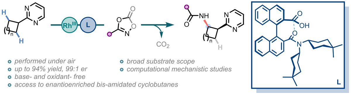 Cp*Rh(III)-Catalyzed Enantioselective C(sp3)–H Amidation of Azine-Linked Cyclobutanes, out now in <a href="/ChemRxiv/">ChemRxiv</a> 

doi.org/10.26434/chemr…

Congrats to <a href="/xuxing0313/">Xing Xu</a>, and many thanks to <a href="/KenYamazaki5/">Ken Yamazaki</a> for his computational work