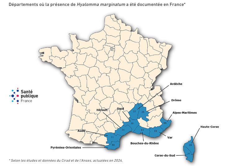 Public Health #France advises on risk of Crimean-Congo hemorrhagic fever in the south of France and Corsica open.substack.com/pub/outbreakne…