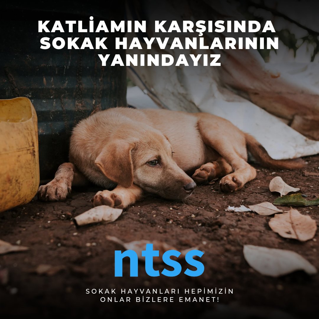 NTSS_Ltd's tweet photo. https://t.co/xaHqdVL2uh