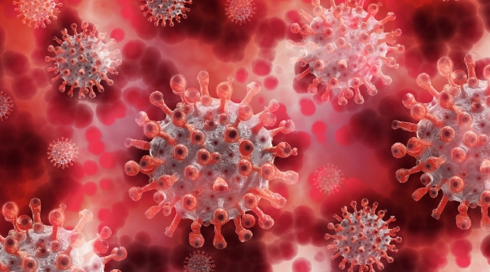 Estudios realizados por  incremento de Síndrome Febril Inespecífico (SFI) en #SantiagoDeCuba con IGM SUMA negativo arrojó la circulación del Virus Orocouche transmitido por el Jejen Culicoides paraensis y el mosquito del género Culex.

Vea aquí
santiago.gob.cu/es/noticias-bl…