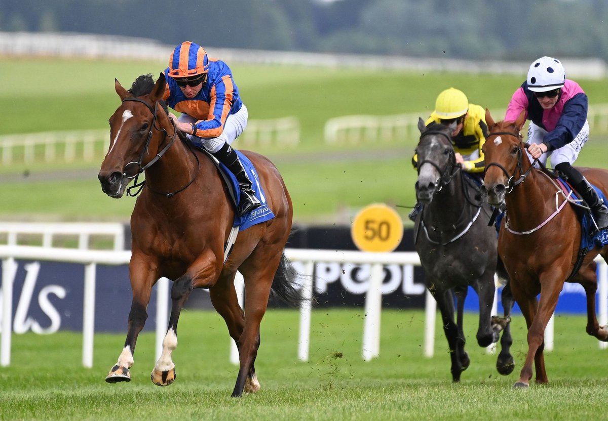 Churchill’s Curragh Maiden Winner To Be Aimed At Albany. Heavens Gate (2f Churchill – Itqaan, by Danzig) earned her place on Ballydoyle’s Royal Ascot team when producing... bit.ly/4bUzvEx