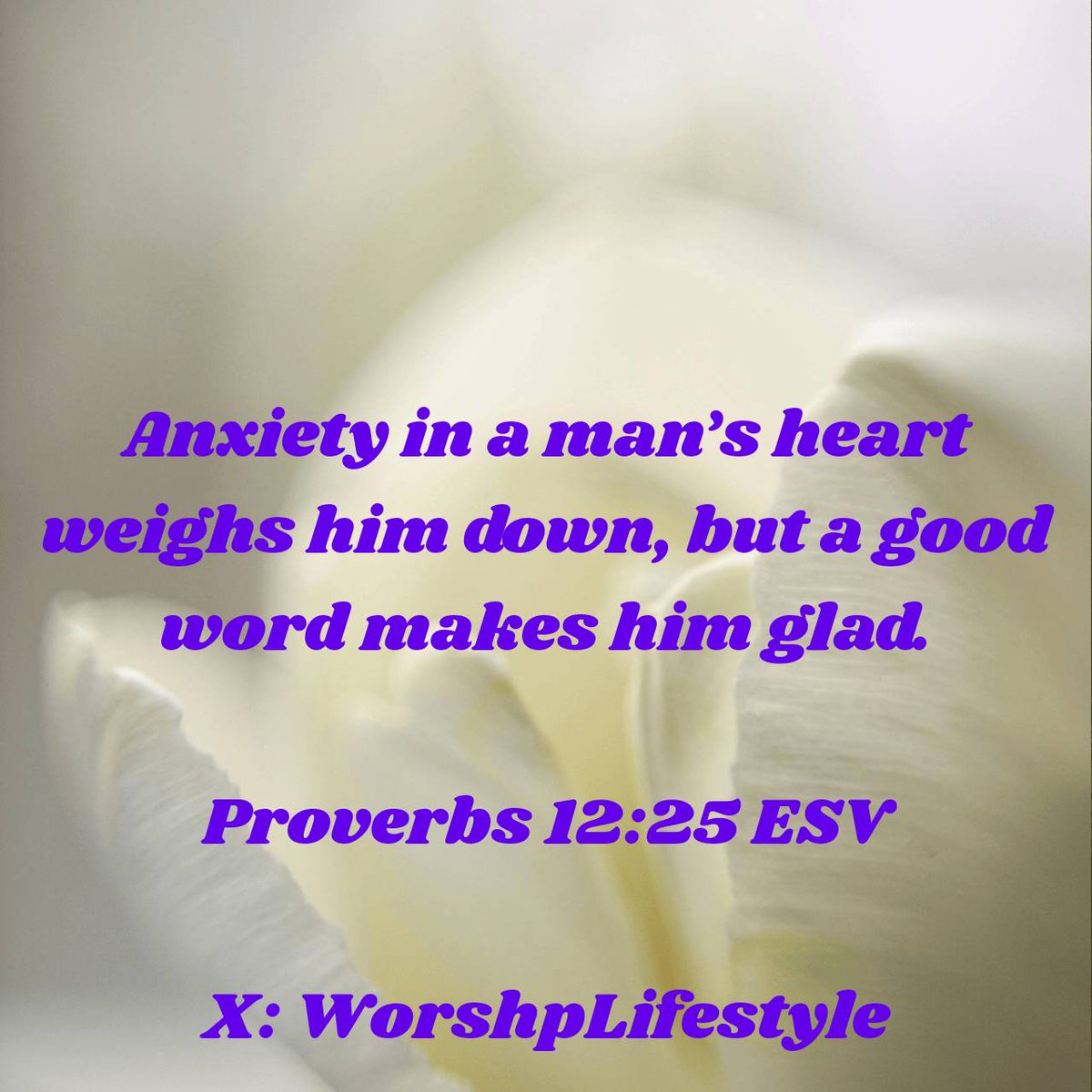 Proverbs 12:25 ESV
Anxiety in a man’s heart weighs him down, but a good word makes him glad.

bible.com/bible/59/pro.1…
#BibleVerse #VerseOfTheDay #WorshpLifestyle #WorshipLifestyle