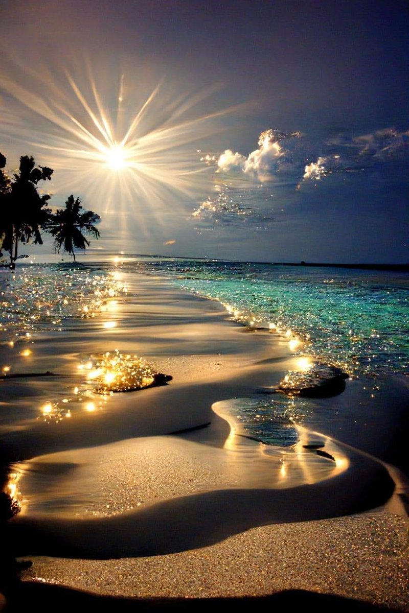 Sonnenstrahlen überfluten den Ozean Strand 🌟 ..🌺..