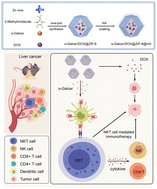 A natural killer T cell nanoagonist-initiated immune cascade for hepatocellular carcinoma synergistic immunotherapy pubs.rsc.org/en/Content/Art…