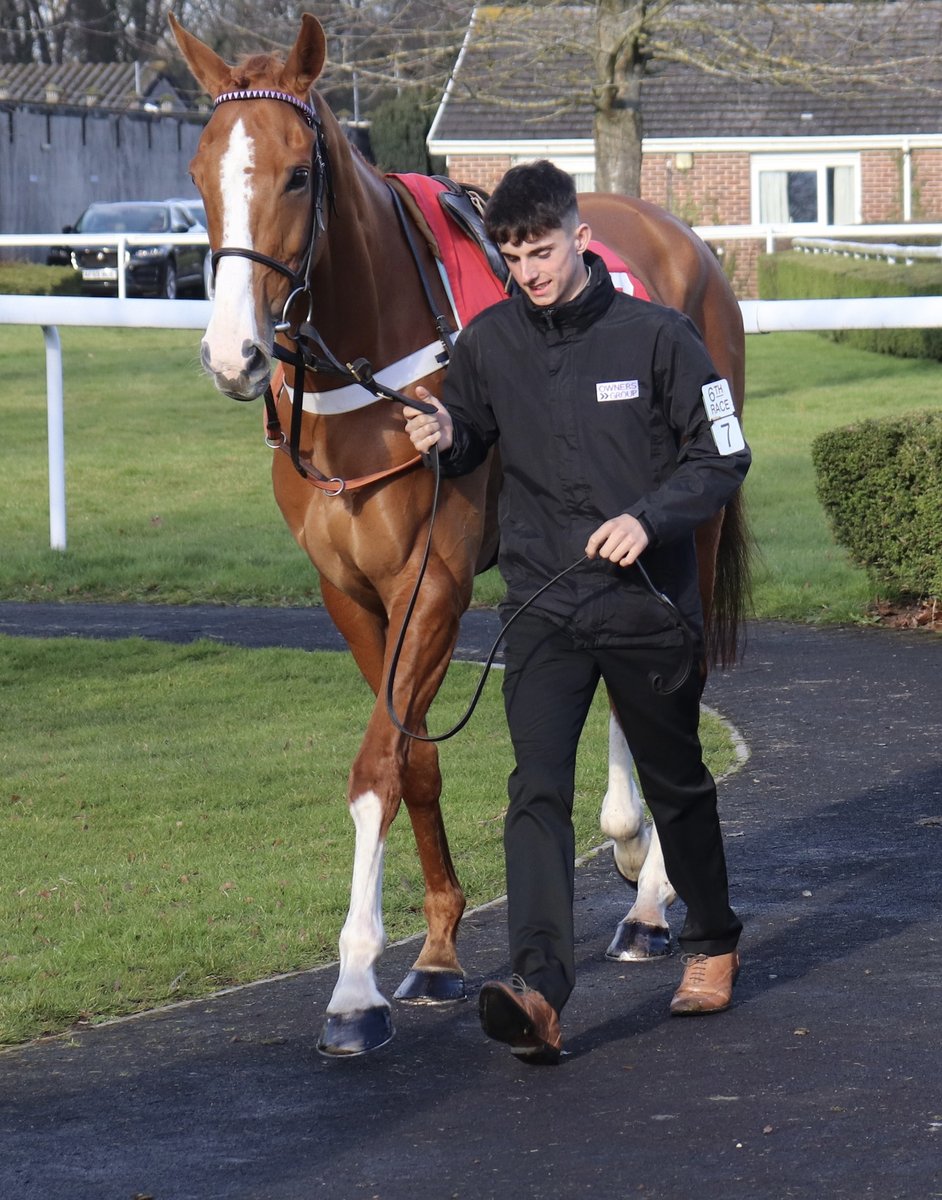 money_rider's tweet image. We&apos;re rooting for @james_bowen_ , #IssuingAuthority &amp;amp; @sevenbarrows in the 4:05 @Cartmelrace

MRR&apos;s @GlynVinall hoping he can bounce back after his last run, ground is Good (Good to Soft in places) which is more his bag, likes a cut in the ground but maybe to heavy last time🤞