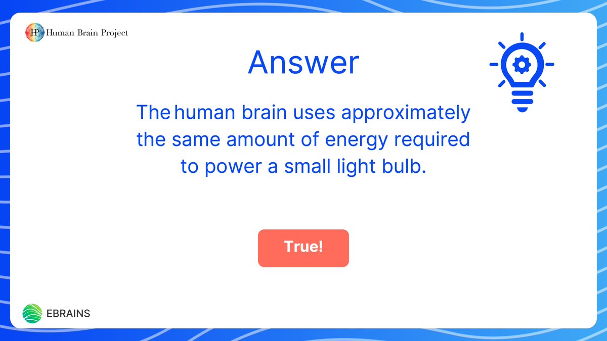 EBRAINS_eu's tweet image. Did you take part in our #BrainQuiz last week?
We're happy to share that 'The human brain uses approximately the same amount of energy required to power a small light bulb' is true!