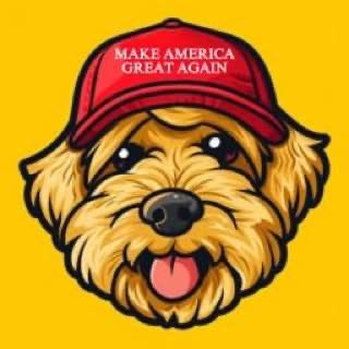 BANGER $PATTON - TRUMP'S FIRST DOG

Telegram: t.me/pattoncoinsol
Twitter: x.com/PattonTrumpDogS
Website: pattontrumpdogsol.io

CA: GckGrNgvedt7X4mFjXEbAv7i5PaAUftNWYnW4aHqgmPU