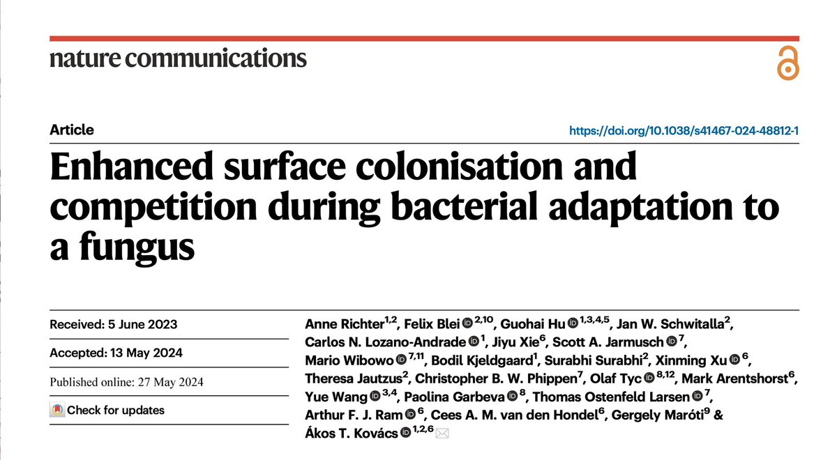 Akos T. Kovacs (@evolvedbiofilm) on Twitter photo Glad to share our newest publication in <a href="/NatureComms/">Nature Communications</a> 🎉🎉🎉… summarizing about a decade of work how Bacillus subtilis adapt when challenged with Aspergillus niger
Enhanced surface colonisation and competition during bacterial adaptation to a fungus
nature.com/articles/s4146… Glad to share our newest publication in <a href="/NatureComms/">Nature Communications</a> 🎉🎉🎉… summarizing about a decade of work how Bacillus subtilis adapt when challenged with Aspergillus niger
Enhanced surface colonisation and competition during bacterial adaptation to a fungus
nature.com/articles/s4146…
