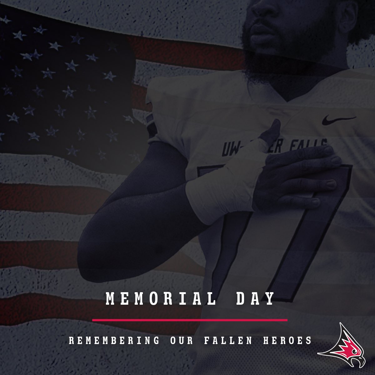 Land of the free, and home of the brave. 🇺🇸