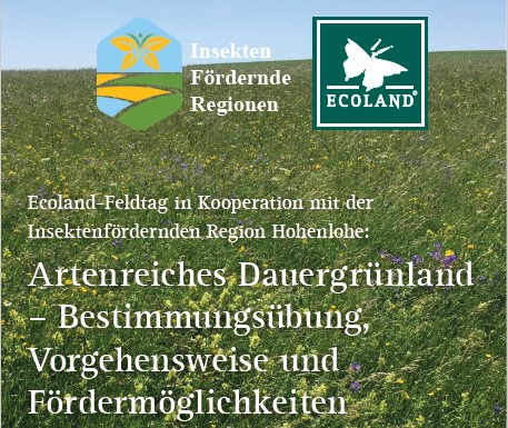 Wie bestimme ich #Kennarten🔍🌿? Welche #Fördermöglichkeiten 💰gibt es für artenreiches #Dauergrünland? Antworten auf diese und viele weitere Fragen gibt's beim #Feldtag am ⏰4. Juni, 18 Uhr in Niederstetten/Hohenlohe 📌Weitere Infos und Anmeldung: insect-responsible.org/veranstaltunge…