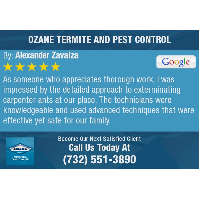 5 Star: Alexander Z. "As someone who appreciates thorough work, I was impressed by the detailed..."