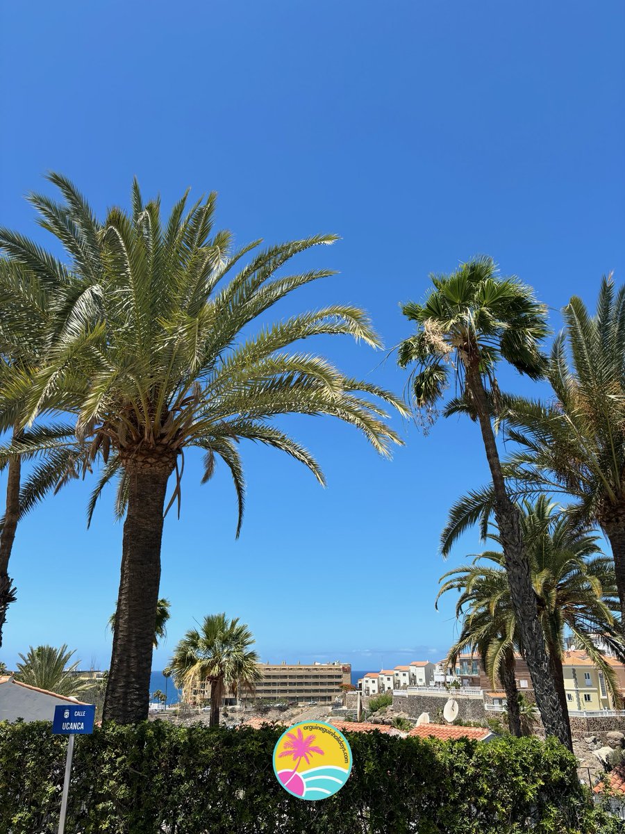 A nice walk down to the beach 💛 Arguineguin Gran Canaria 🌸 27/05/24 #Arguineguin #GranCanaria