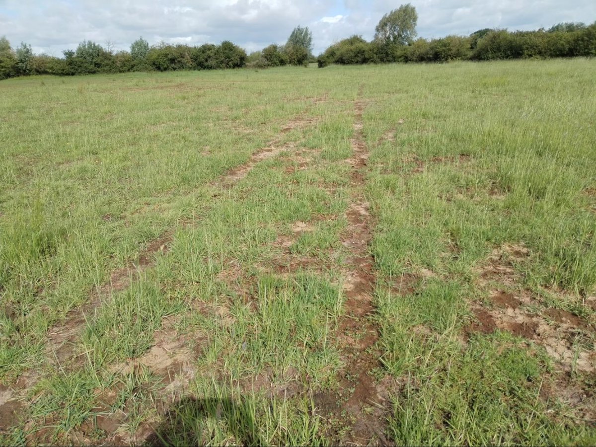 soillifefarmer's tweet photo. Looking at our flood meadows today. After such a hard time they had over winter, please to see how they are doing.  The wetter areas are quite bare but look closer to see seedlings. Maybe not so much hay this year, but they will be back to there glory in time. https://t.co/c4Et3rE64M