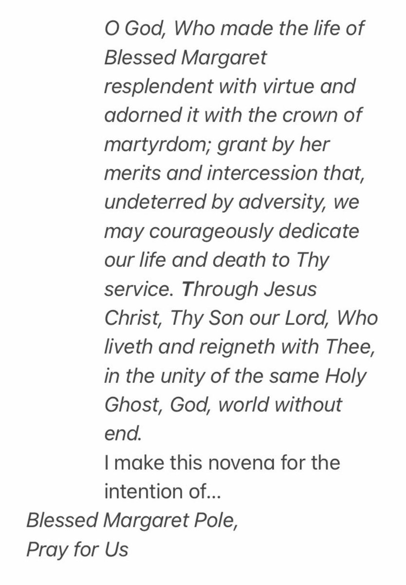 David Plantagenet MSc tweet media