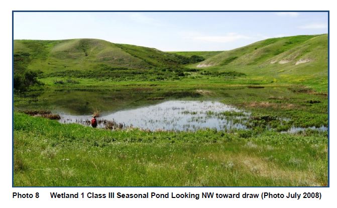 The largest wetland in the valley. It will get LESS water and seasonally dry up sooner and what it gets will be contaminated by racetracks and skid pad. In critical habitat ... bank swallow foraging, leopard frogs, bats. Wrong location for a racetrack <a href="/savetherosebud/">Save The Rosebud</a>