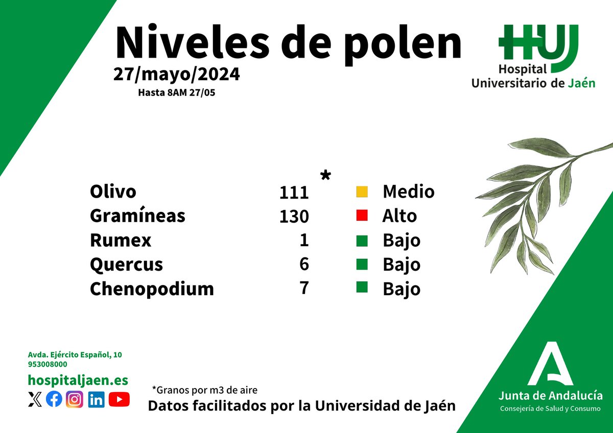 El #polen de #olivo continúa a nivel medio, y las gramíneas a niveles altos. Los especialistas en #Alergología inciden en la importancia de la adherencia al tratamiento.
