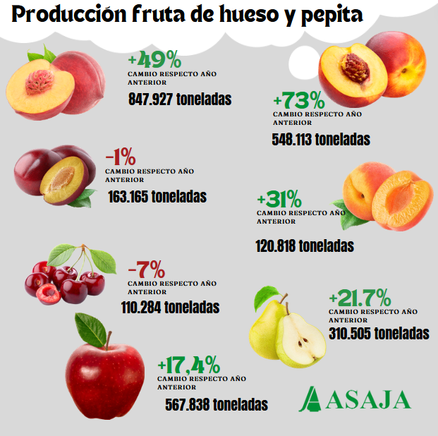 📈🍑 La campaña de fruta de hueso 2023 en España cerró con un aumento del 42%, alcanzando 1.789.249 toneladas. Destacan los melocotones (+49%) y nectarinas (+73%). Aunque la cereza y la ciruela disminuyeron su producción. 🌾🇪🇸 #Agricultura #FrutaDeHueso #Producción2023