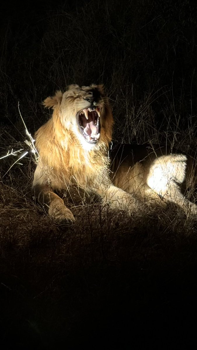 Tony Thomas tweet media