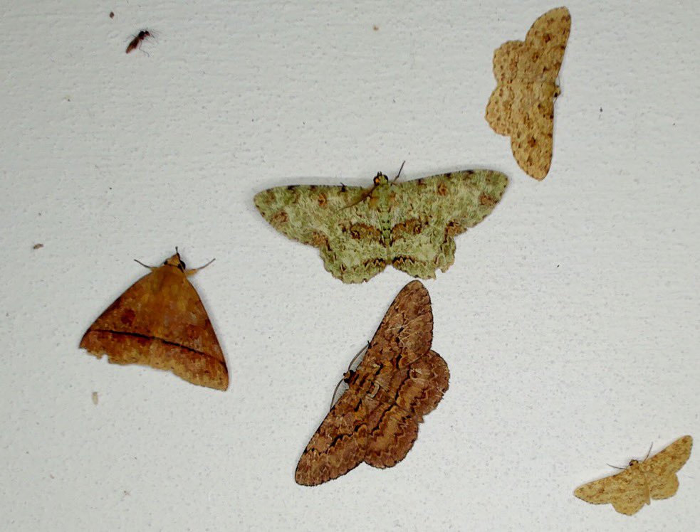 NTU Singapore tweet media